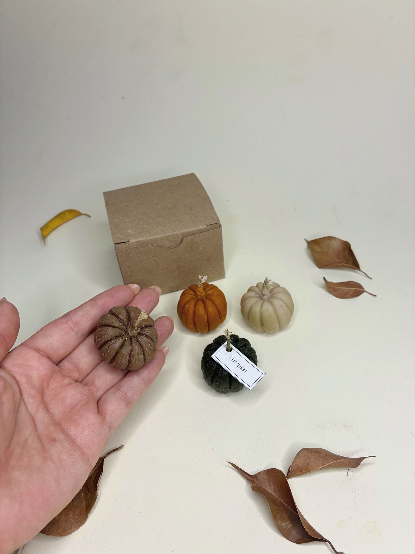 Set Calabazas Pumpkin Spice