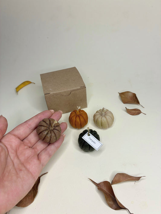 Set Calabazas Pumpkin Spice