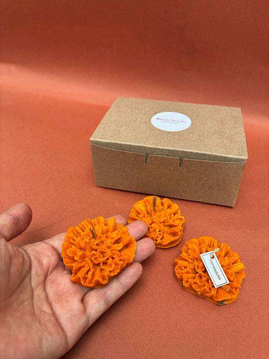 Set Cempasúchil
