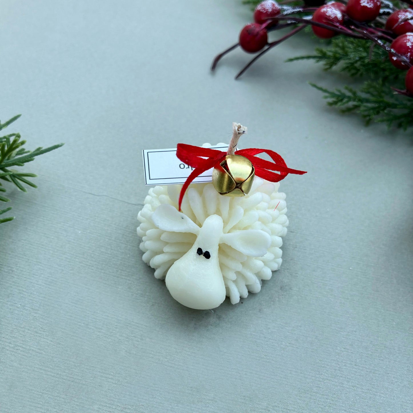 Borreguito de la abundancia