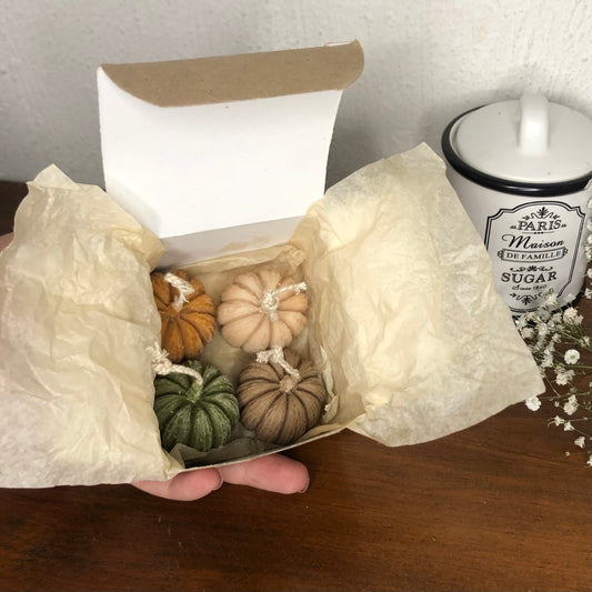 Set Calabazas Pumpkin Spice